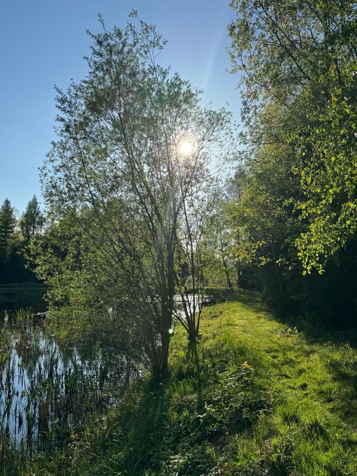 Bukolik Villa Bukowiec  Luaran gambar