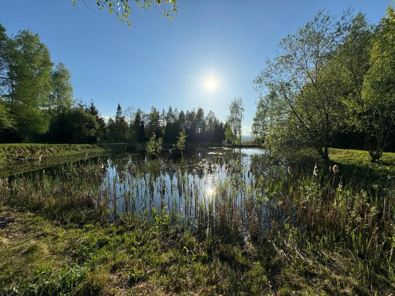 Bukolik Villa Bukowiec  Luaran gambar